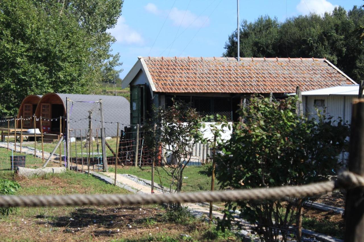 Casa Da Avo Miquinhas Otel Pacos de Ferreira Dış mekan fotoğraf