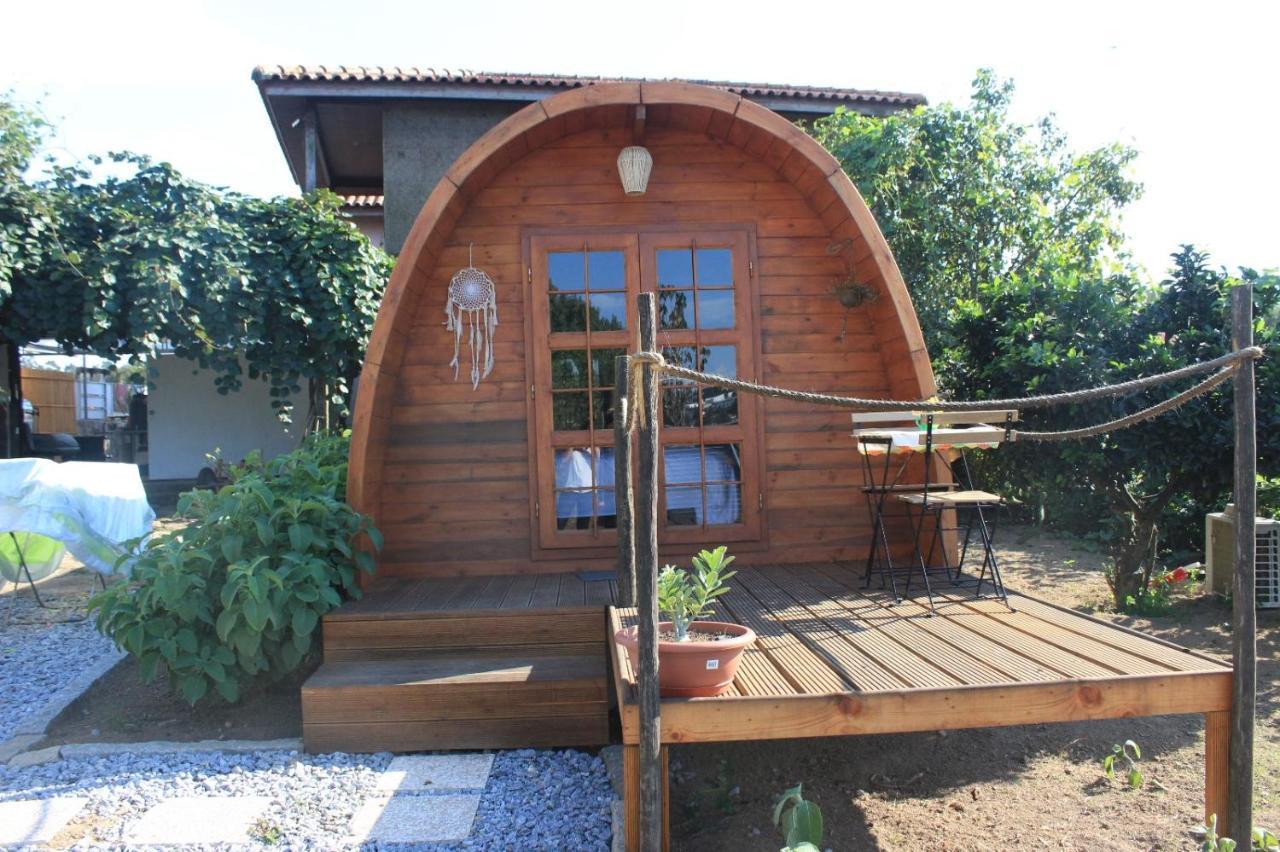 Casa Da Avo Miquinhas Otel Pacos de Ferreira Dış mekan fotoğraf